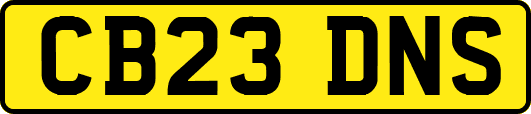 CB23DNS