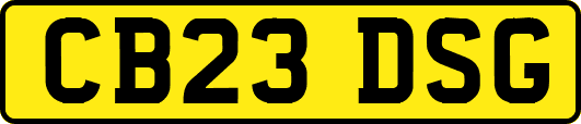 CB23DSG