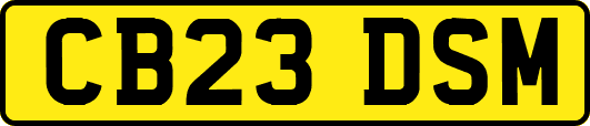 CB23DSM