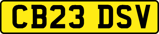 CB23DSV