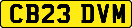 CB23DVM