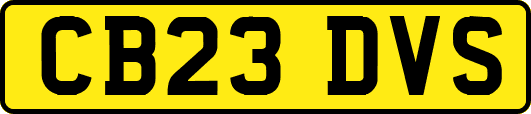 CB23DVS