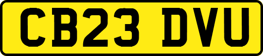 CB23DVU