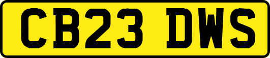 CB23DWS