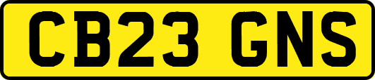 CB23GNS