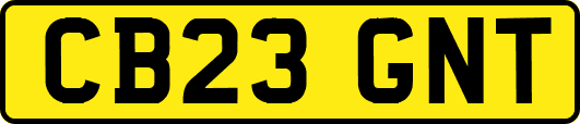 CB23GNT