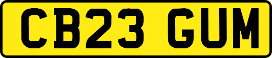CB23GUM