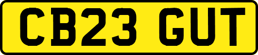 CB23GUT