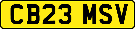 CB23MSV