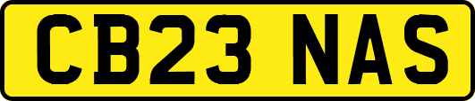 CB23NAS