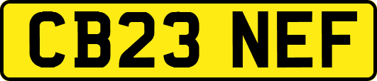 CB23NEF