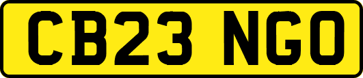 CB23NGO