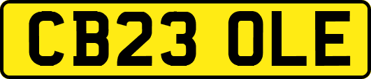 CB23OLE
