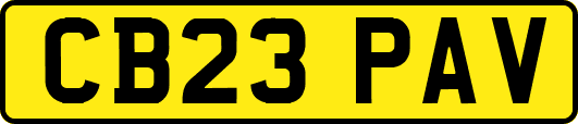 CB23PAV