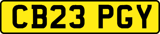 CB23PGY