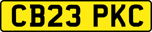 CB23PKC