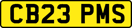 CB23PMS