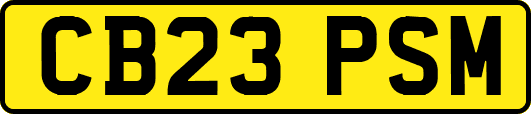 CB23PSM
