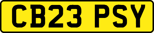 CB23PSY