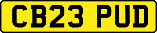CB23PUD