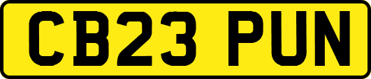 CB23PUN
