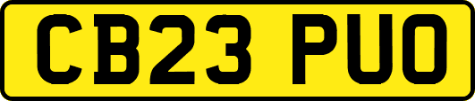 CB23PUO
