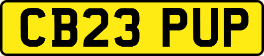 CB23PUP