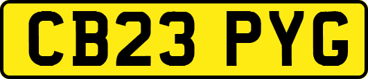 CB23PYG