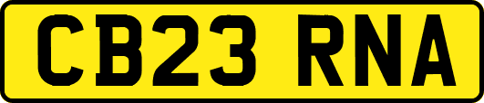 CB23RNA