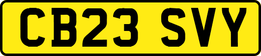 CB23SVY