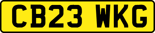 CB23WKG