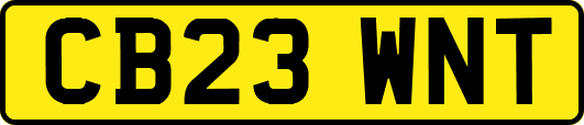 CB23WNT