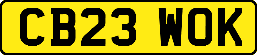 CB23WOK