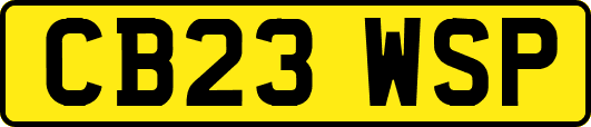 CB23WSP
