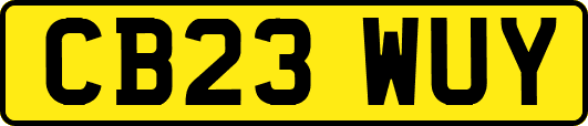 CB23WUY