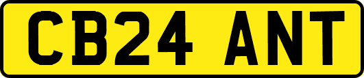 CB24ANT