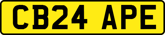 CB24APE