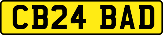CB24BAD