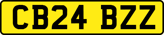 CB24BZZ