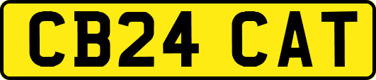 CB24CAT