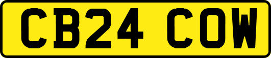 CB24COW