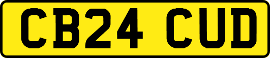CB24CUD