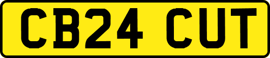 CB24CUT