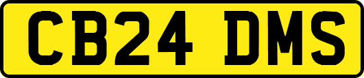 CB24DMS