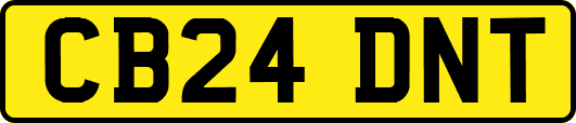 CB24DNT
