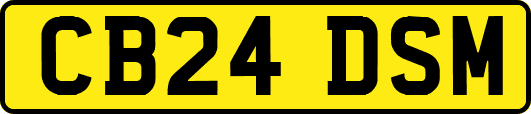 CB24DSM