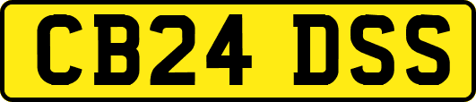 CB24DSS