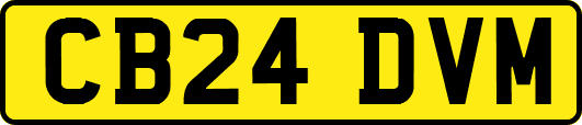 CB24DVM