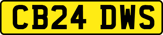 CB24DWS