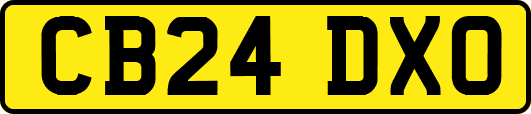 CB24DXO